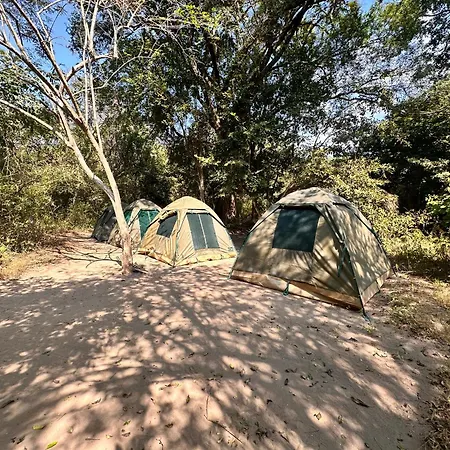 Selous River Camp Kwangwazi Exterior photo