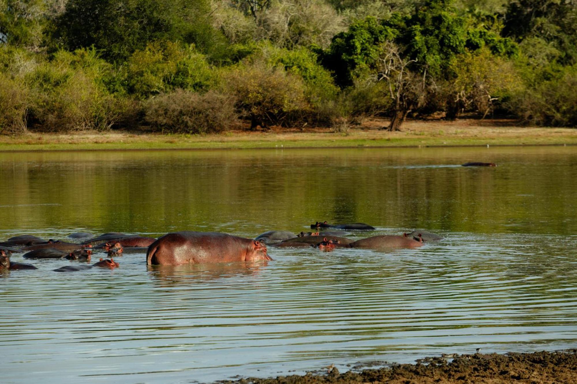 Selous River Camp