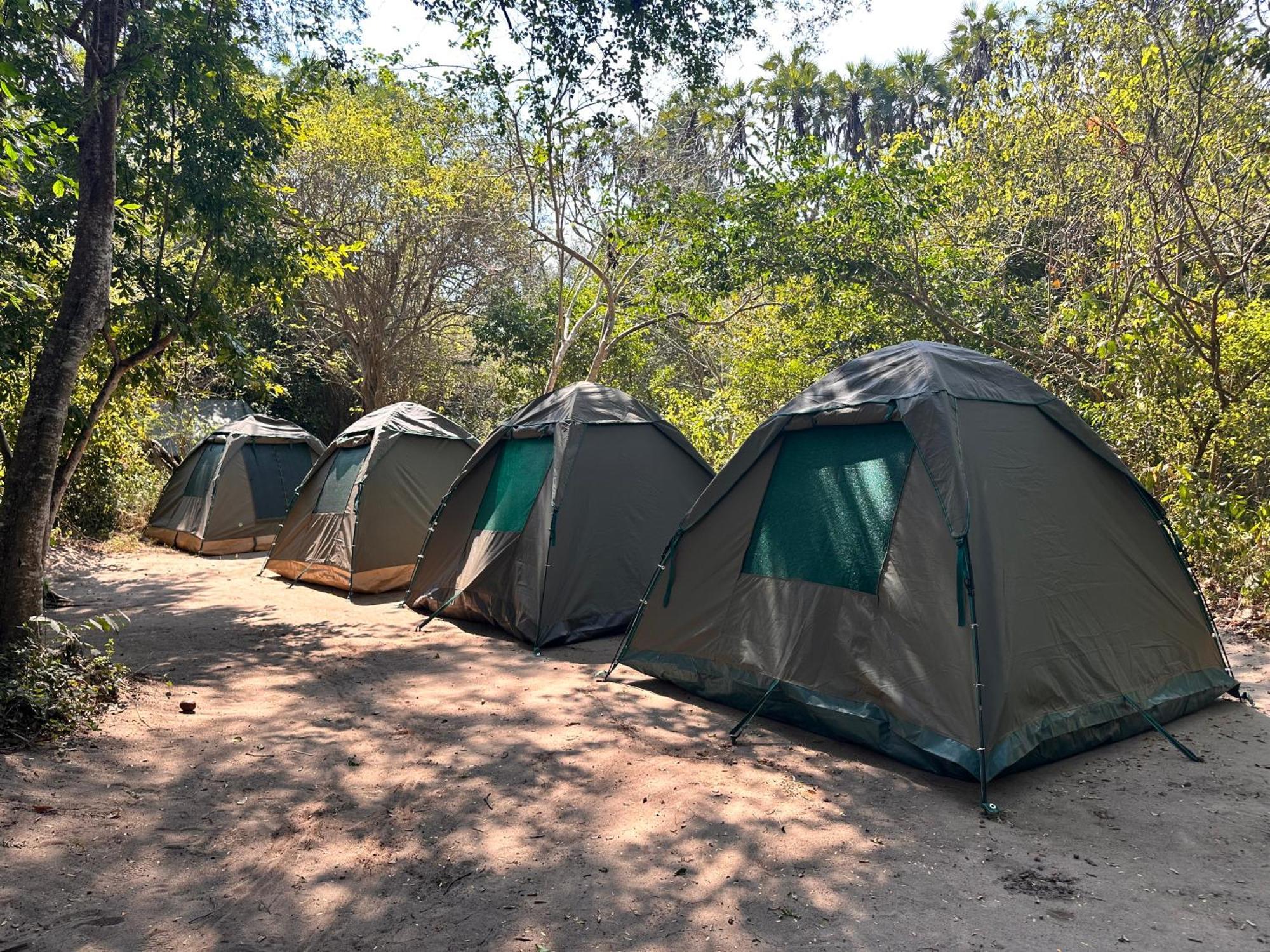 אכסניה Selous River Camp *